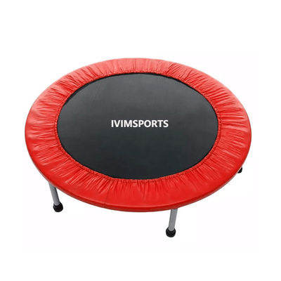 PE PVC Kids Adult Exercise Trampoline , Jumping Gym Trampoline