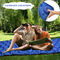OEM Ultralight Foldable Air Cushion S Sleeping Rubber Mat With Pillow