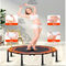 Wholesale New Foldable Outdoor Fitness Equipment Trampoline With Armrests For Adults And Kids