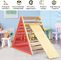 Wholesale Foldable Climbing Triangle Ladder Wooden Fitness Equipment 2 In 1